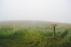 Sign in fog indicating which way to go