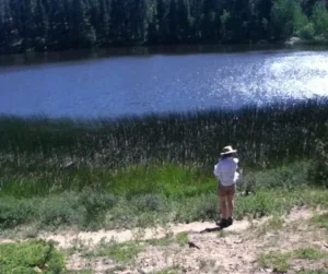 person-at-lake-TK A person overlooking a small lake on a sunny day.